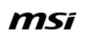 MSI